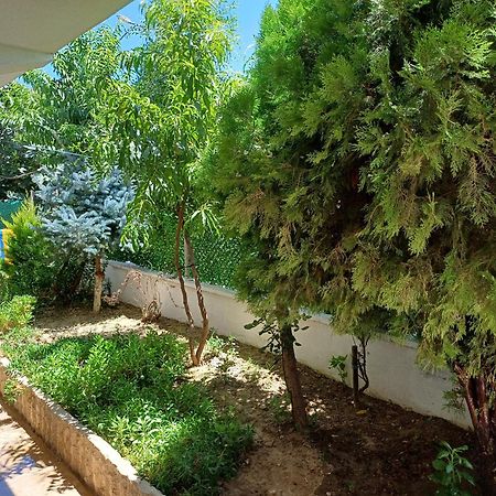 Elite Apart Pansiyon İmroz Εξωτερικό φωτογραφία
